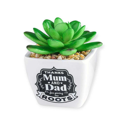 Picture of SUCCULENTS SENTIMENT MUM & DAD